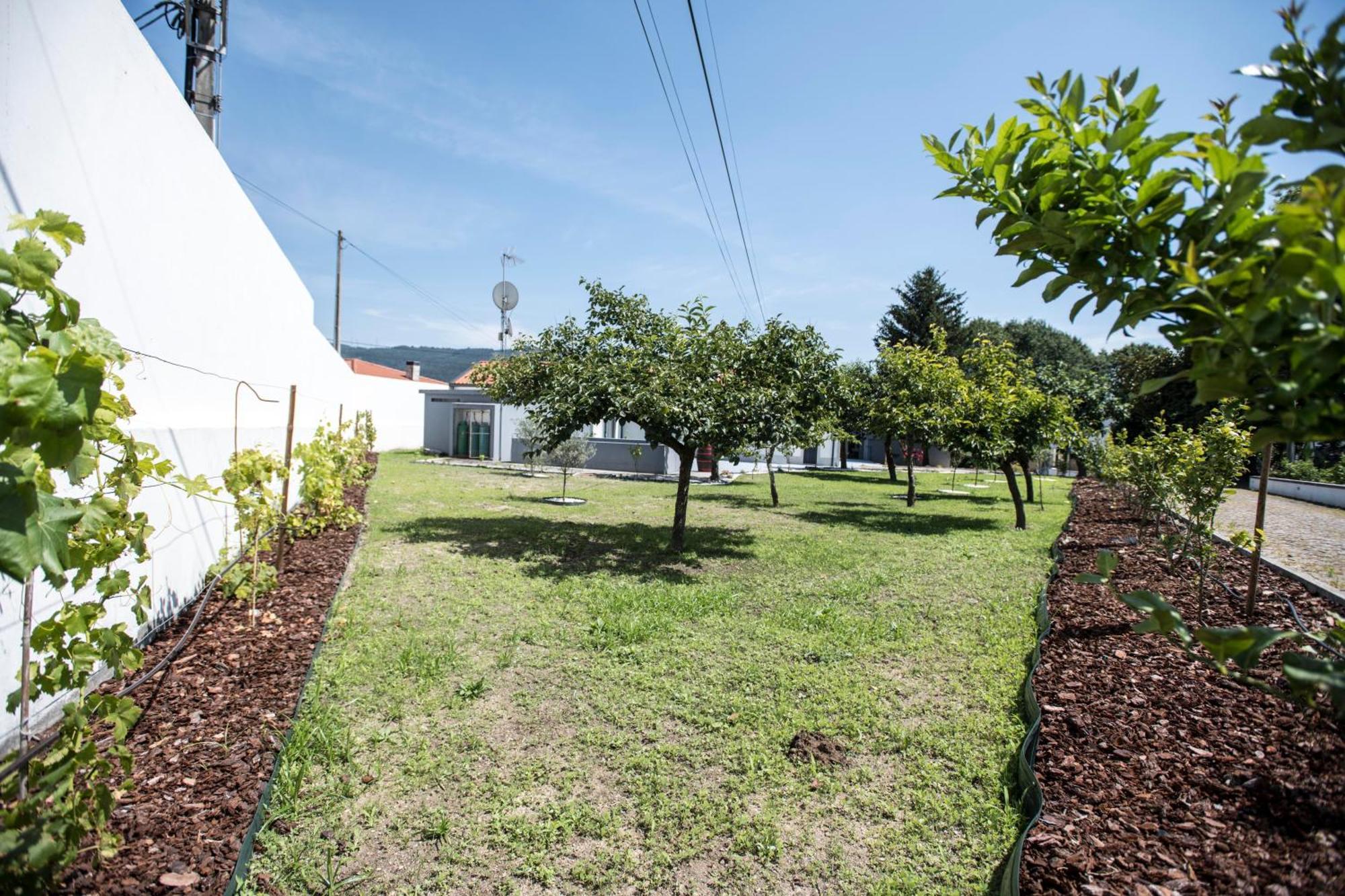 Quinta Do Pomar Pomar Farm Villa Briteiros ภายนอก รูปภาพ