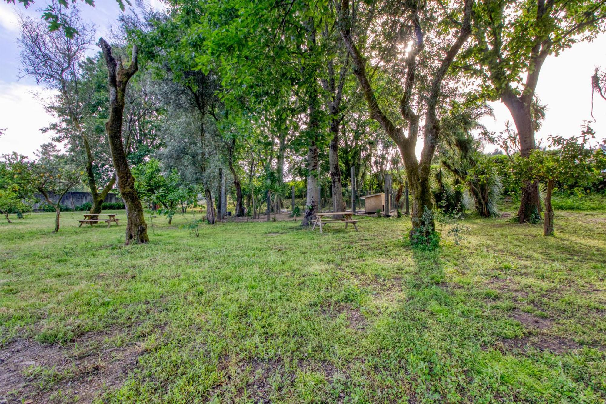 Quinta Do Pomar Pomar Farm Villa Briteiros ภายนอก รูปภาพ